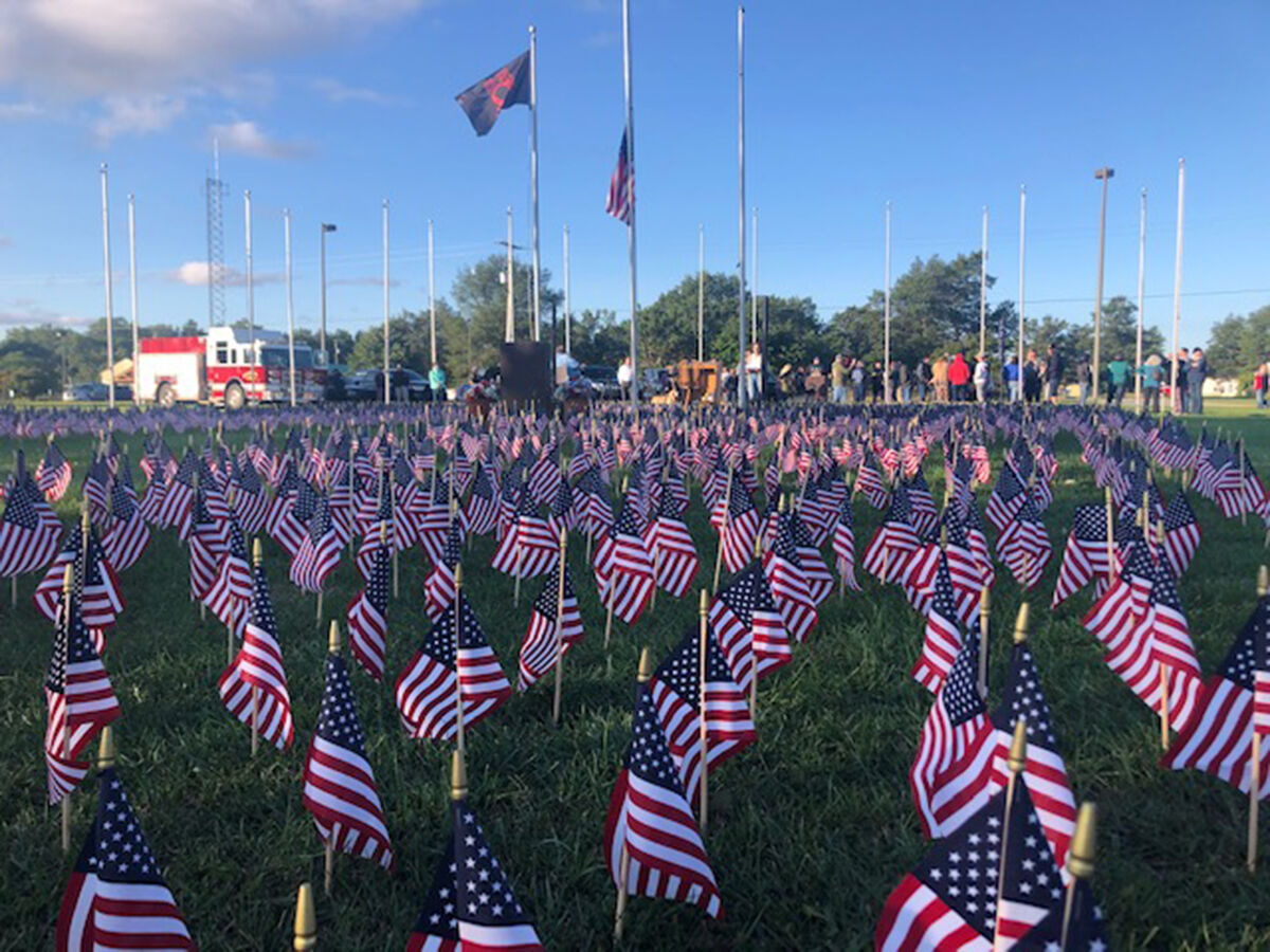 field of flags